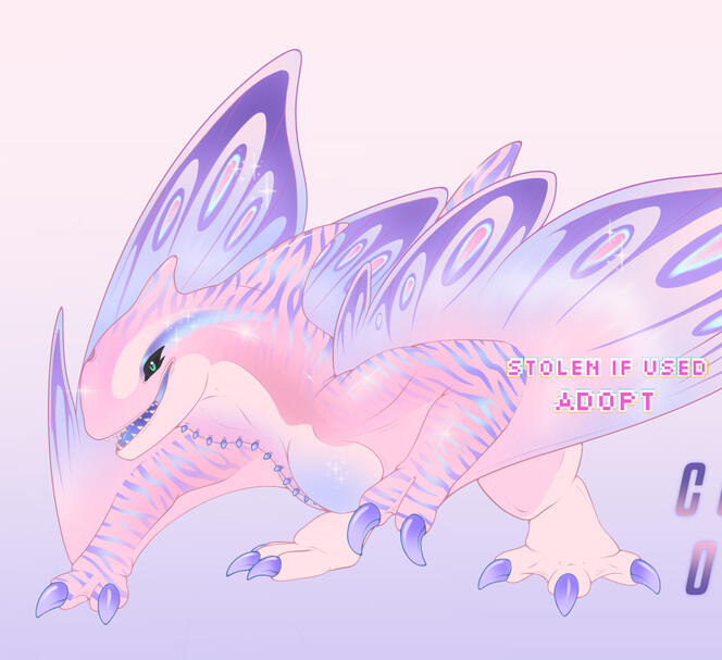Orca Wyvern Orca Wyvern