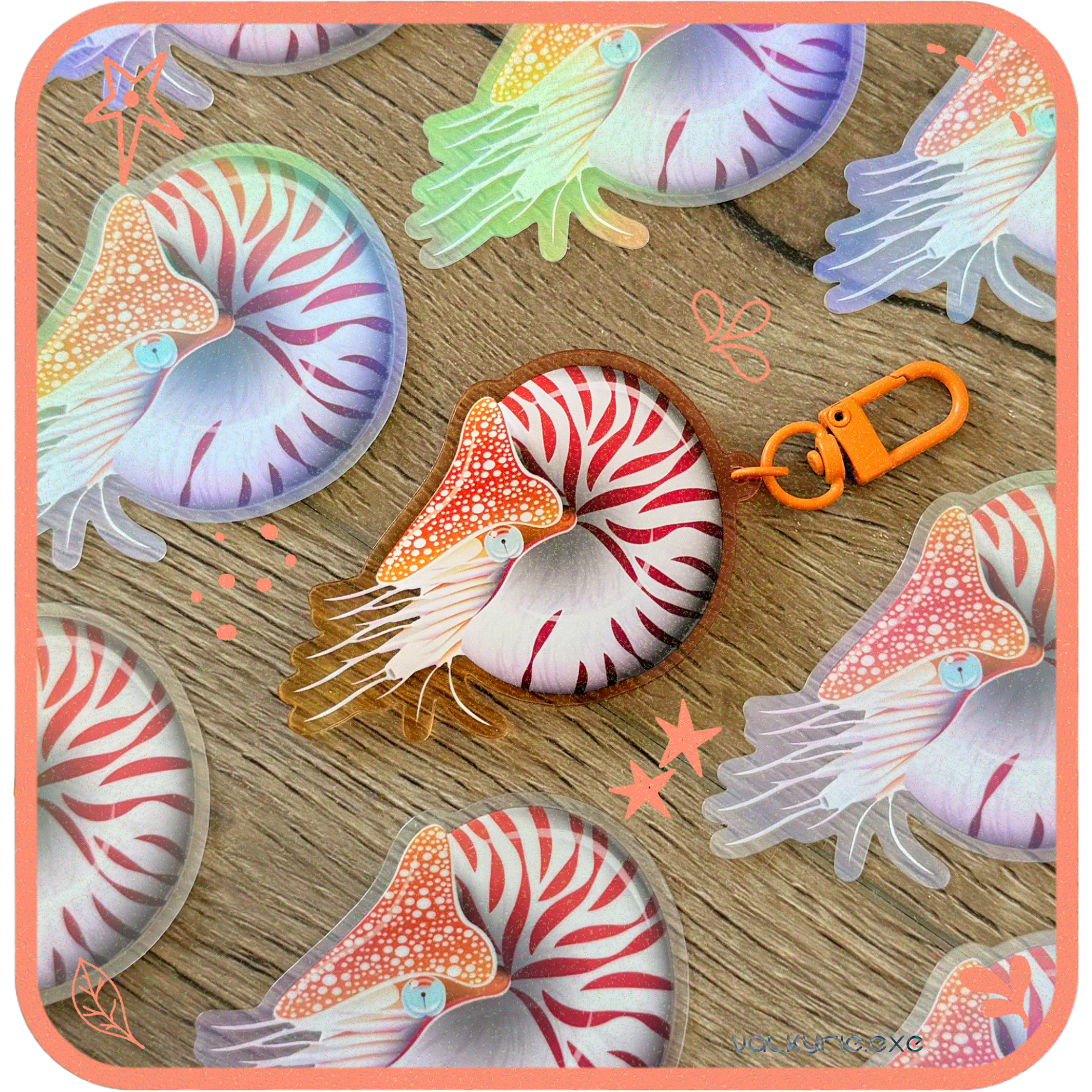 Ammonite